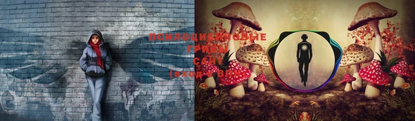 СК Горнозаводск