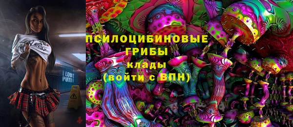 СК Горнозаводск